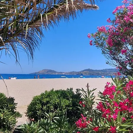 Sur La Plage, Super Avec Vue Sur La Daire