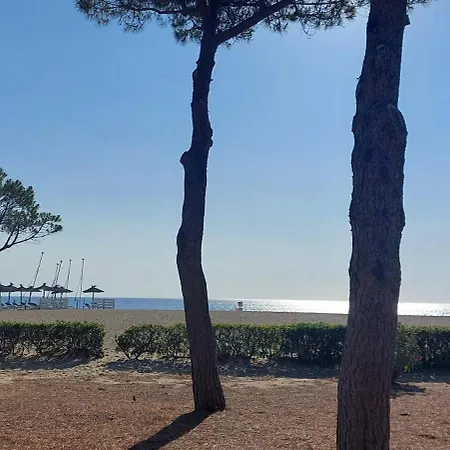 Sur La Plage, Super Avec Vue Sur La Daire *