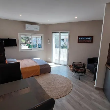 Sur La Plage, Super Avec Vue Sur La Plage dʼArgelès